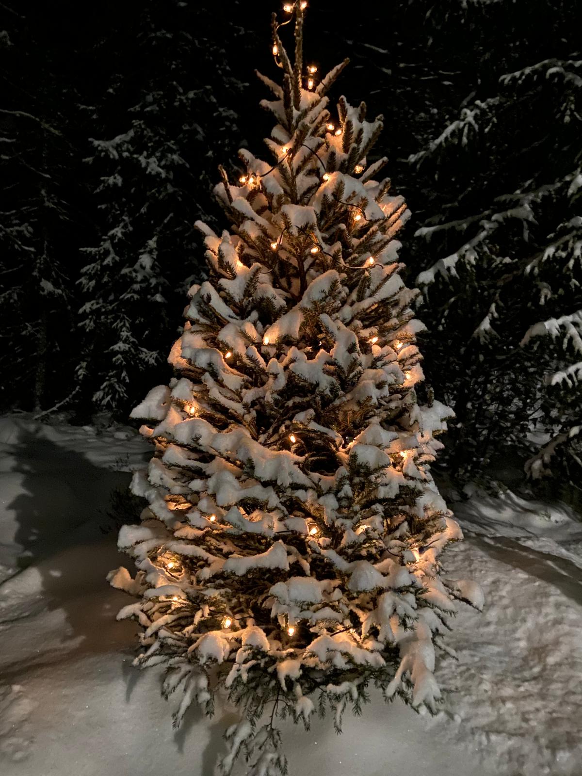 Joulutoivotus Störsvikin asukkaille